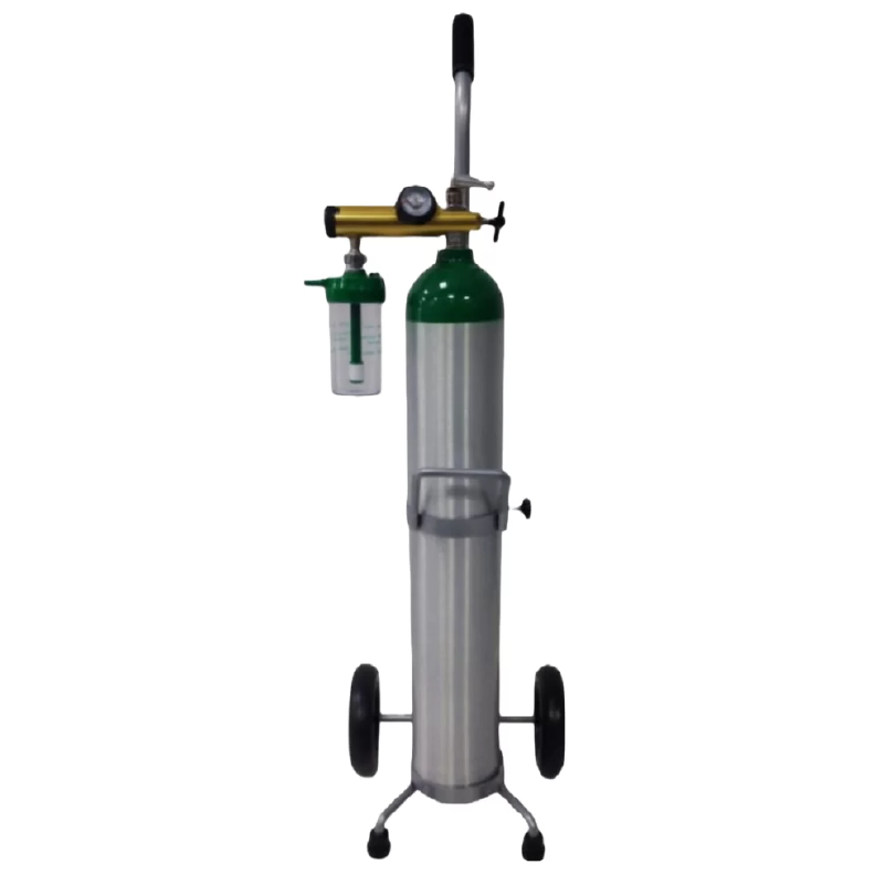 pronasa-producto-balon-de-oxigeno-tipo-e-vista1